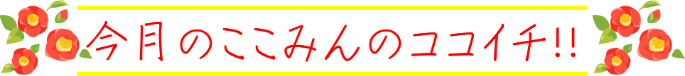 ここみんの今月のココイチ!!