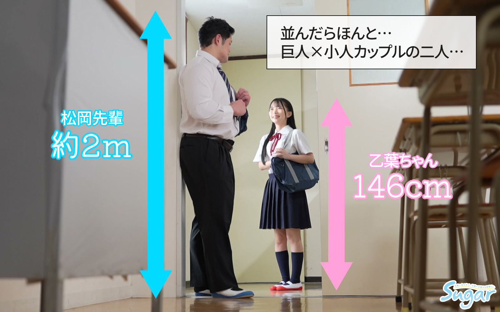 ギャラリー画像 2